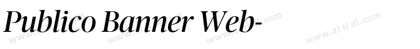 Publico Banner Web字体转换
